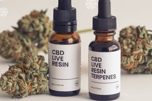 Що таке Live Resin та живі терпени: нова ера чистого смаку та насиченого ефекту фото