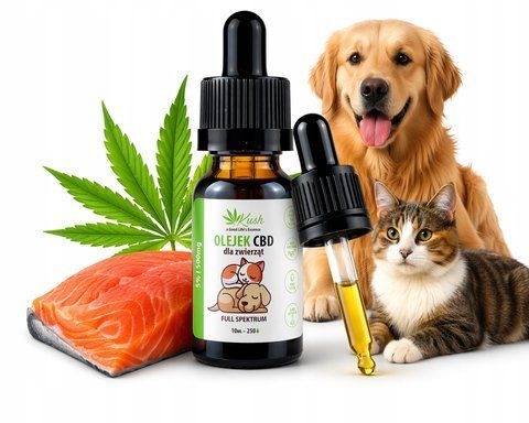 Kush CBD 5% RAW Full Spectrum CBD Oil for Dogs & Cats (500mg CBD, 10ml)