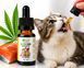 Kush CBD 5% RAW Full Spectrum CBD Oil for Dogs & Cats (500mg CBD, 10ml)