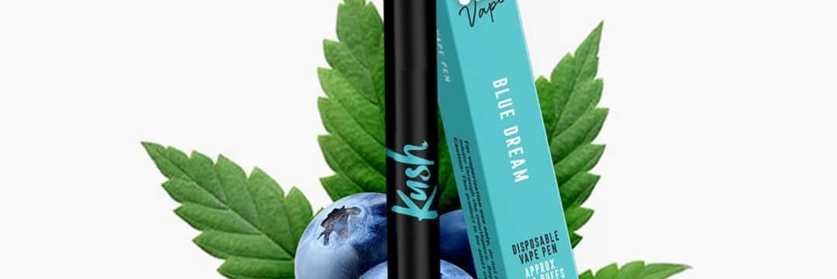 cannastra vape Cannastra HHC Vape Pen Mango Exploration, 99 % HHC, 0,5 ml main image 1